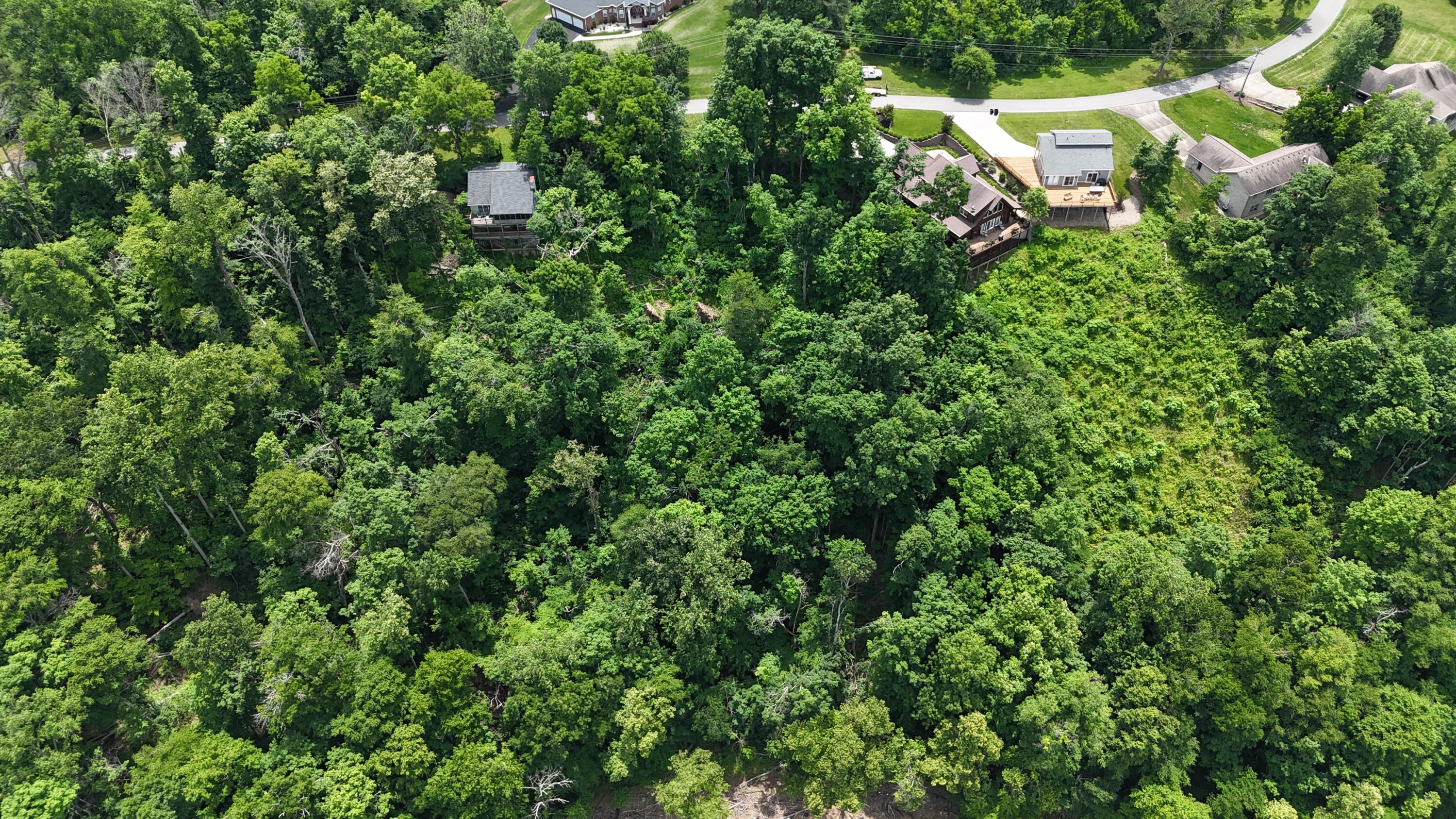 Land in Jamestown 4