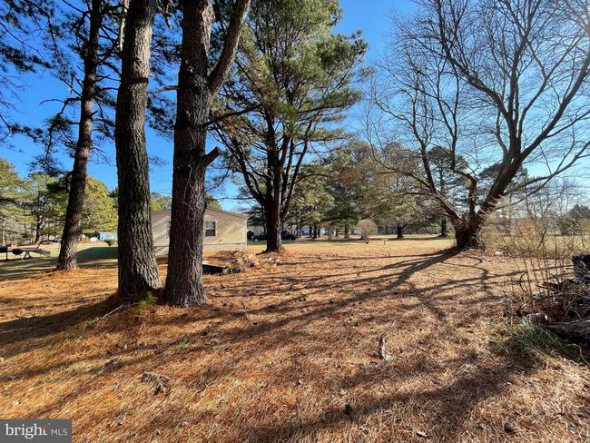 7541 Mulberry Rd, Home with 4 bedrooms, 3 bathrooms and null parking in NEWARK MD | Image 12
