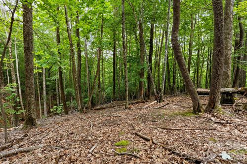 186-203 Sourwood Ln, Beech Mountain, NC, 28604-8266 | Card Image