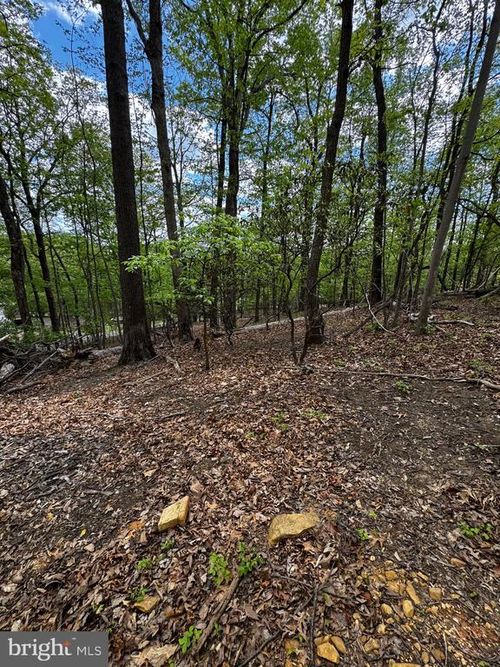1832 Ridge Rd, HAYMARKET, VA, 20169-1303 | Card Image