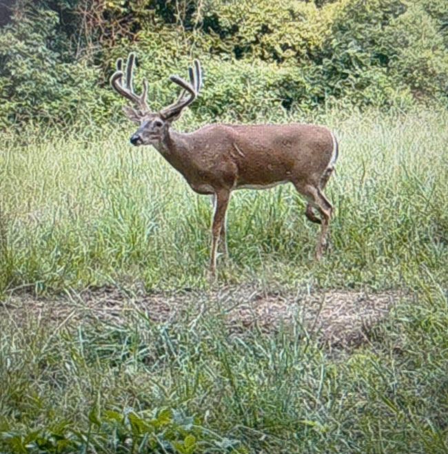 From property cameras | Image 103