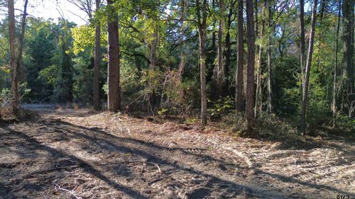 000 County Road 4330, Larue, TX, 75770 | Card Image