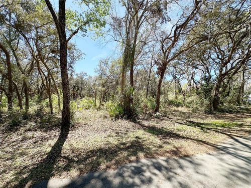 TBD Nw 110th Circle, Lot 3, CHIEFLAND, FL, 32626 | Card Image