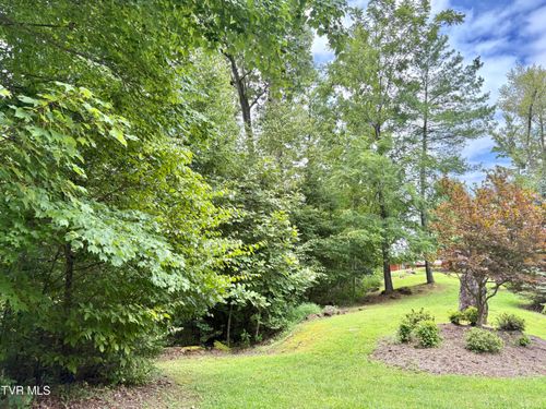 30 Rock Island Dr, Butler, TN, 37640 | Card Image