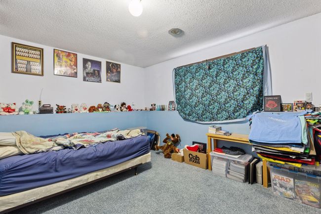 3rd Bedroom lower level | Image 24