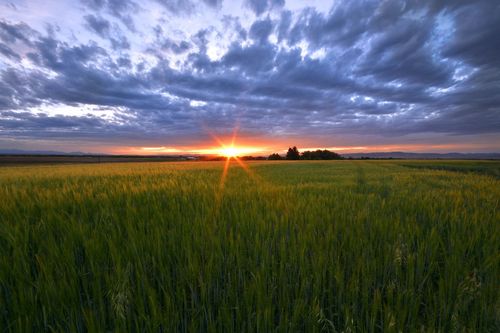 TBD Penwell Bridge Road, Belgrade, MT, 59714 | Card Image