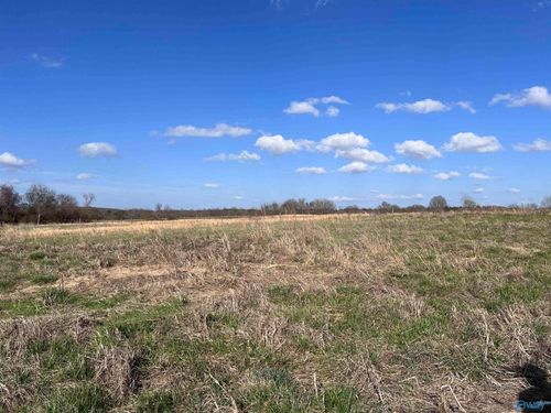64 Acres County Road 463, Section, AL, 35771 | Card Image