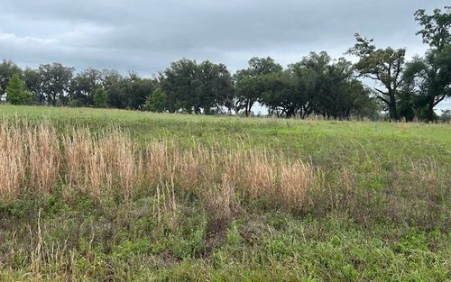 TBD 98th Pass, Live Oak, FL, 32060 | Card Image