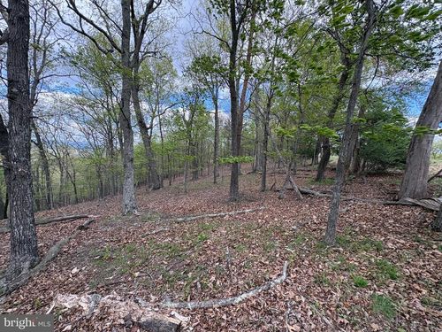 10 AC Moon Ridge Lane, BURLINGTON, WV, 26710 | Card Image