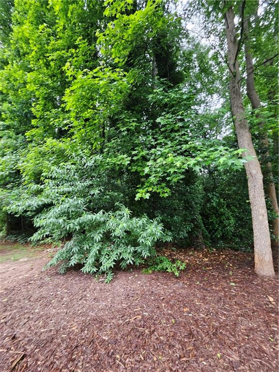 Land in Decatur 3