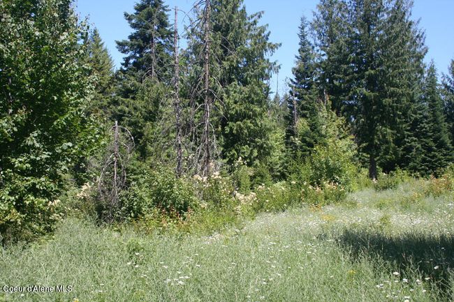 18 Majestic Mountain Rd, Home with 0 bedrooms, 0 bathrooms and null parking in Clark Fork ID | Image 27