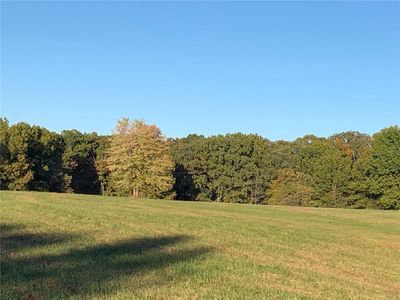 View of Tree Line | Image 3