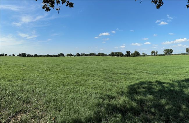 View from under Oak tree looking at neighbors to the North | Image 6
