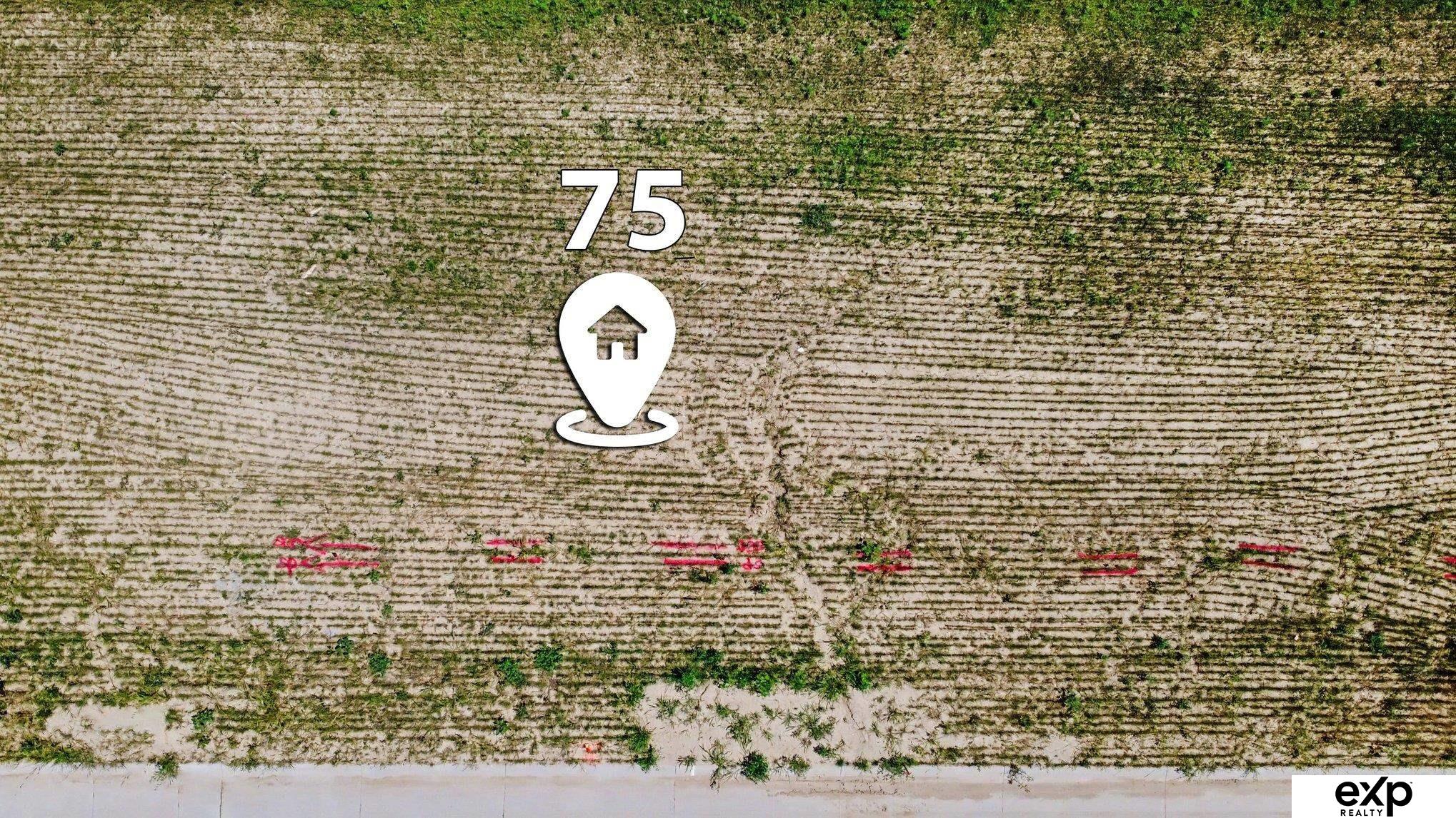 Land in Elkhorn 2