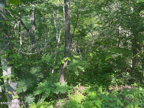 Lot 69 Sycamore Dr, Sevierville, TN, 37876 | Card Image