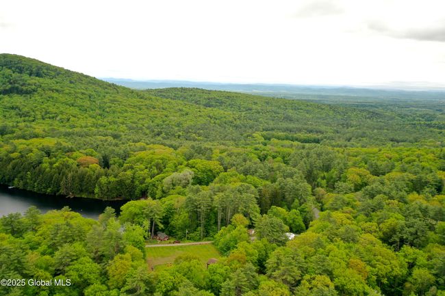 Copeland pond | Image 47