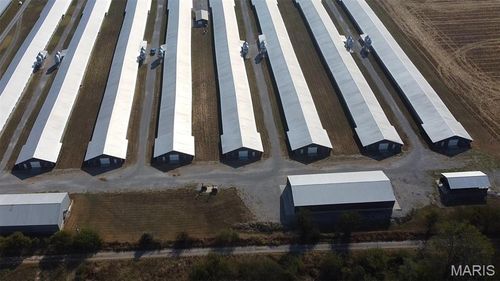 361 County Highway 405, Sikeston, MO, 63801-8243 | Card Image