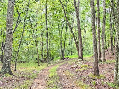 00 Johns Creek Rd, New Castle, VA, 24127 | Card Image