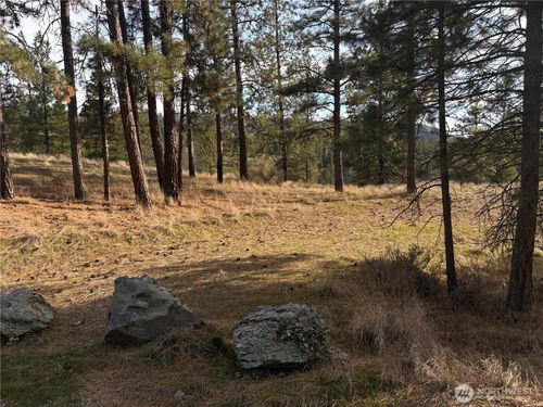 2 Mist Lake Road, Tonasket, WA, 98855 | Card Image