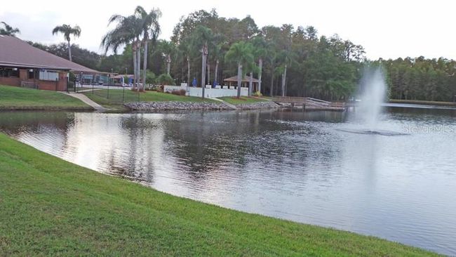 4750 Carrington Ct, Condo with 2 bedrooms, 2 bathrooms and null parking in NEW PORT RICHEY FL | Image 44