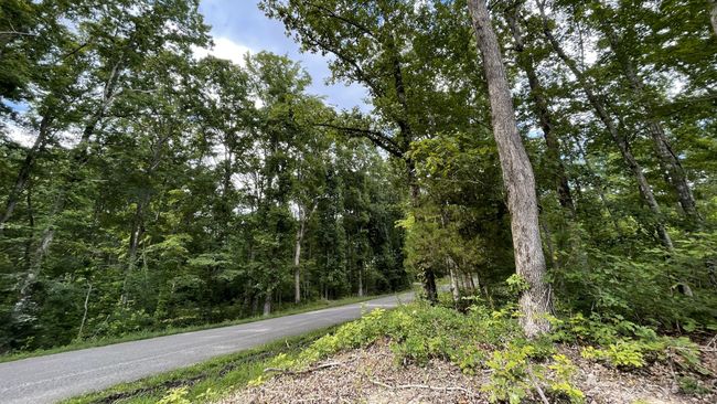 0 Pugh Rd, Home with 0 bedrooms, 0 bathrooms and null parking in Holladay TN | Image 4