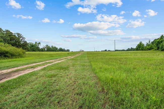 42.2 acres | Image 30