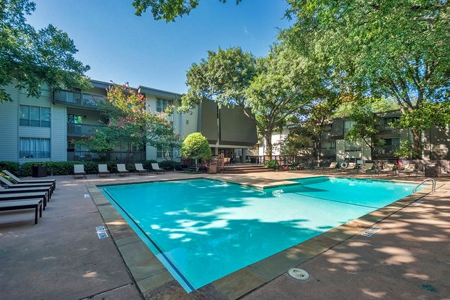A sunny pool area featuring clear water surrounded by inviting lounge chairs and greenery for relaxation. | Image 27