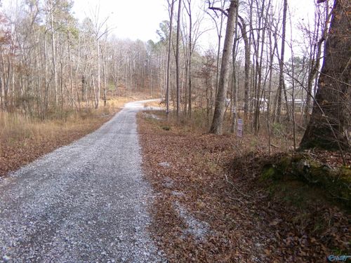 Lot 41 County Road 243, Cedar Bluff, AL, 35959 | Card Image
