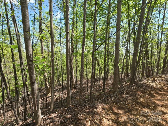 Lot 24 High Rock Rdg, Home with 0 bedrooms, 0 bathrooms and null parking in Lake Lure NC | Image 8