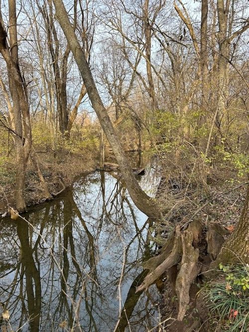 5680 W Tackett Dr, Fayetteville, AR, 72704-8418 | Card Image