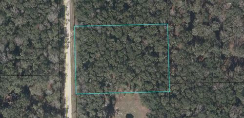 Lot 17 Ne 386th Ave, Old Town, FL, 32680 | Card Image