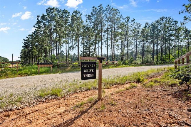 0000 Richardson Rd E, Home with 0 bedrooms, 0 bathrooms and null parking in Livingston TX | Image 10