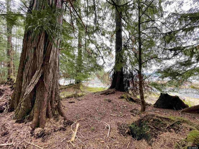 L3A &amp; 3B No Street Given, Home with 0 bedrooms, 0 bathrooms and null parking in Whale Pass AK | Image 11
