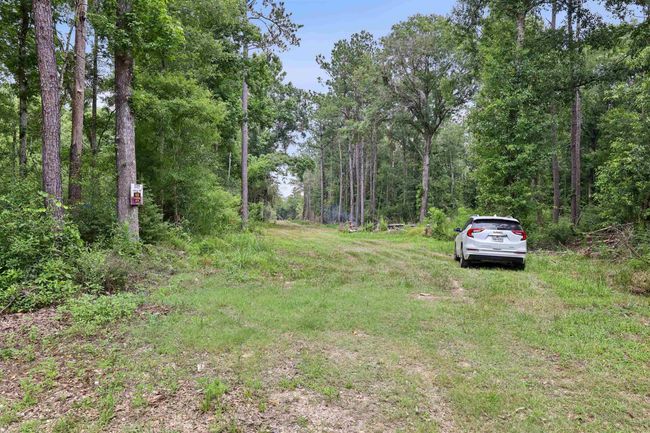 3705 Haynes Loop, Home with 0 bedrooms, 0 bathrooms and null parking in Kountze TX | Image 10