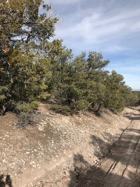 Land in Tijeras 3