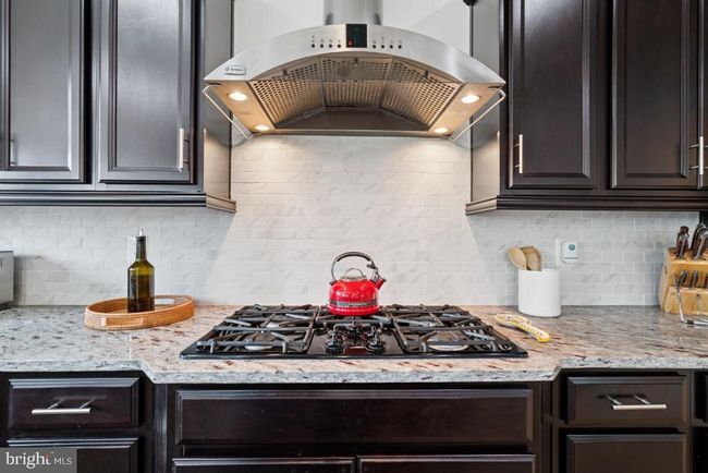 24936 Sawyer Mills Ct, House other with 5 bedrooms, 5 bathrooms and null parking in ALDIE VA | Image 8