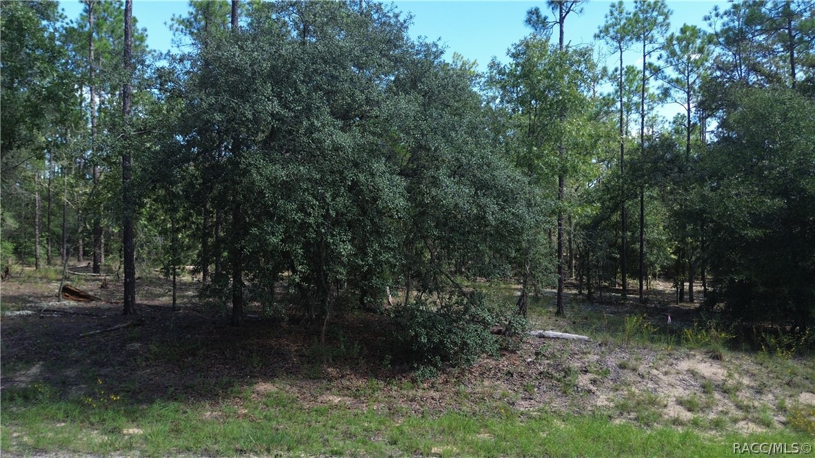 Land in Citrus Springs