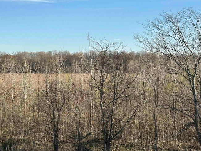 00 Ridgeview Rd, Home with 0 bedrooms, 0 bathrooms and null parking in Bradford AR | Image 13