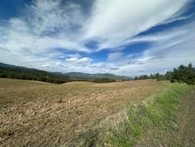 000 E Horton Rd, Home with 0 bedrooms, 0 bathrooms and null parking in Rockford WA | Image 9