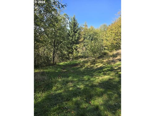  2500 Lot 12 Rd, Toutle, WA, 98649 | Card Image