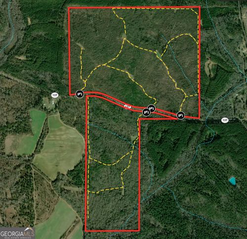 337+/- AC Ga Highway 137 W, Buena Vista, GA, 31803-6232 | Card Image
