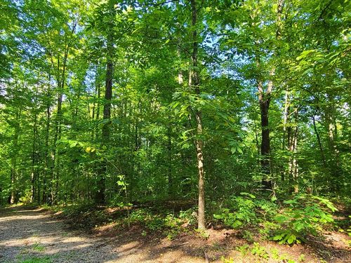 9 Walden Flats Way, Sevierville, TN, 37862 | Card Image