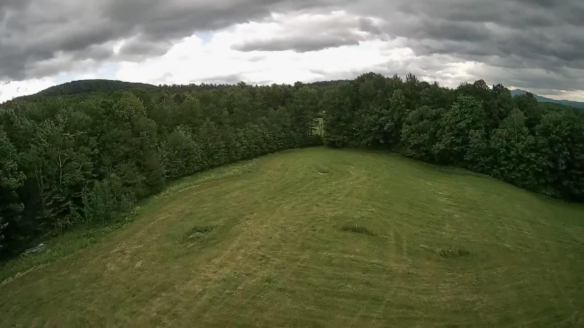Land in Hyde Park 5