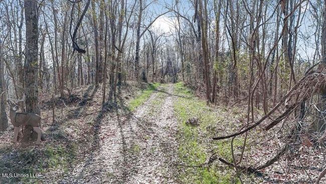 20250707195752993076000000-o | Image 23