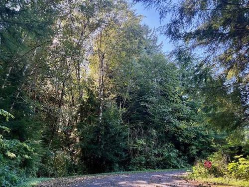 1 Cedar Rd, Wheeler, OR, 97147 | Card Image