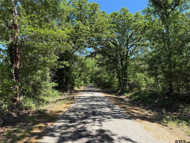 72 Acres N Farm Road 900, Home with 0 bedrooms, 0 bathrooms and null parking in Saltillo TX | Image 24