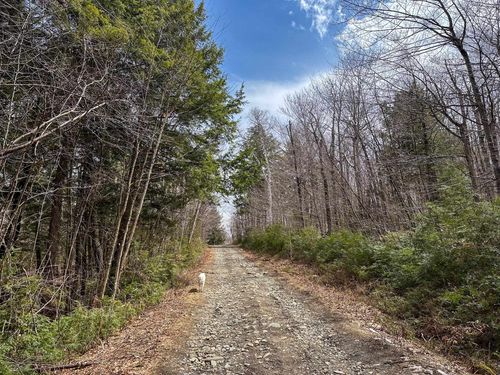 00 Boone Rd, Chester, VT, 05143 | Card Image