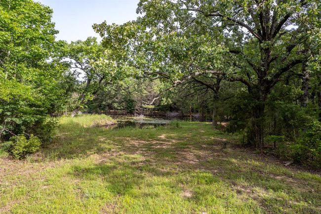 0 Johnson Rd, Home with 0 bedrooms, 0 bathrooms and null parking in Winona TX | Image 8