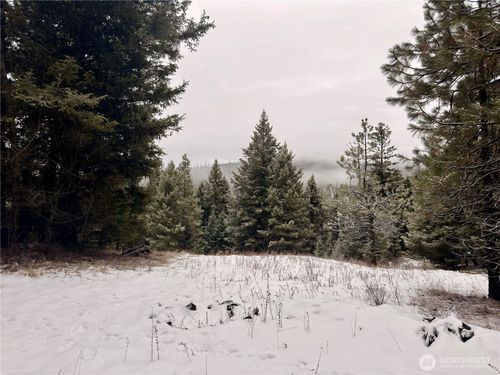 25 Miners Ridge Rd, Oroville, WA, 98844-3210 | Card Image