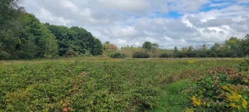 881 S Brye Rd, Ludington, MI, 49431-8613 | Card Image